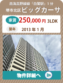 ビッグカーサー堺しらさぎマンション/堺市北区